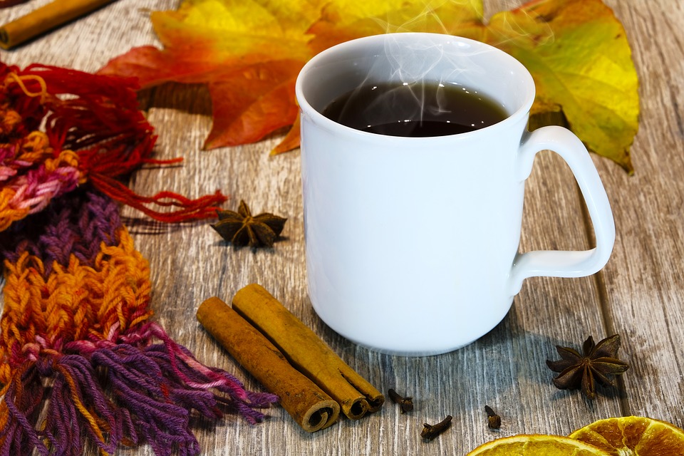 Глинтвейн? Безалкогольный рецепт в домашних условиях (9 интересных идей) Бруно