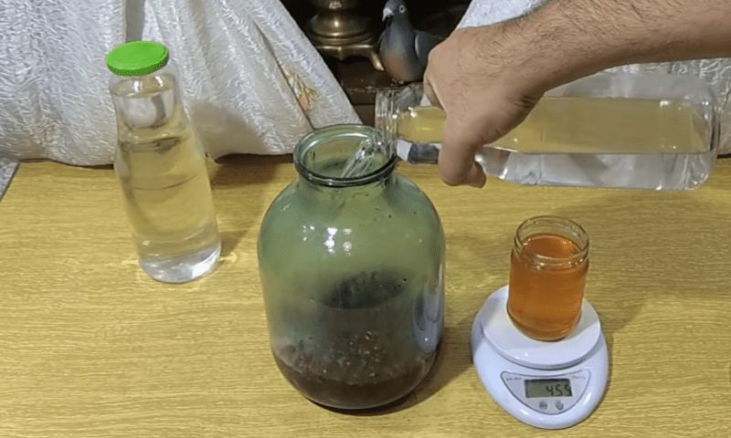 Во время варки. Настойка шиповника в процессе приготовления.