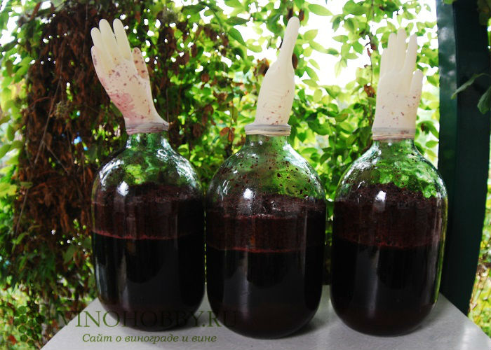 вина-из-рябины 14