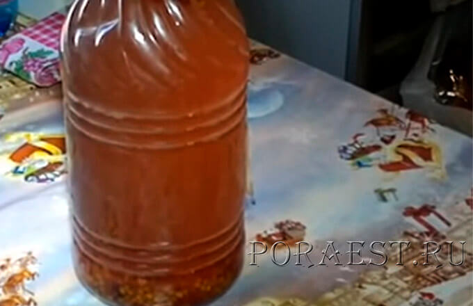 настойка-на-калине-с-облепихой