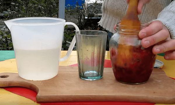 разминаем-толкушкой-клюкву-в-банке Замесить чернику в банке толкателем