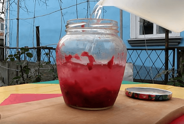 заливаем-клюкву-водкой Залить чернику водкой