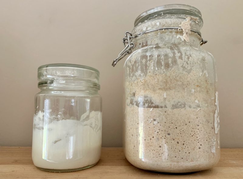 Брага из пшеничной манной крупы на китайских дрожжах кодзи.