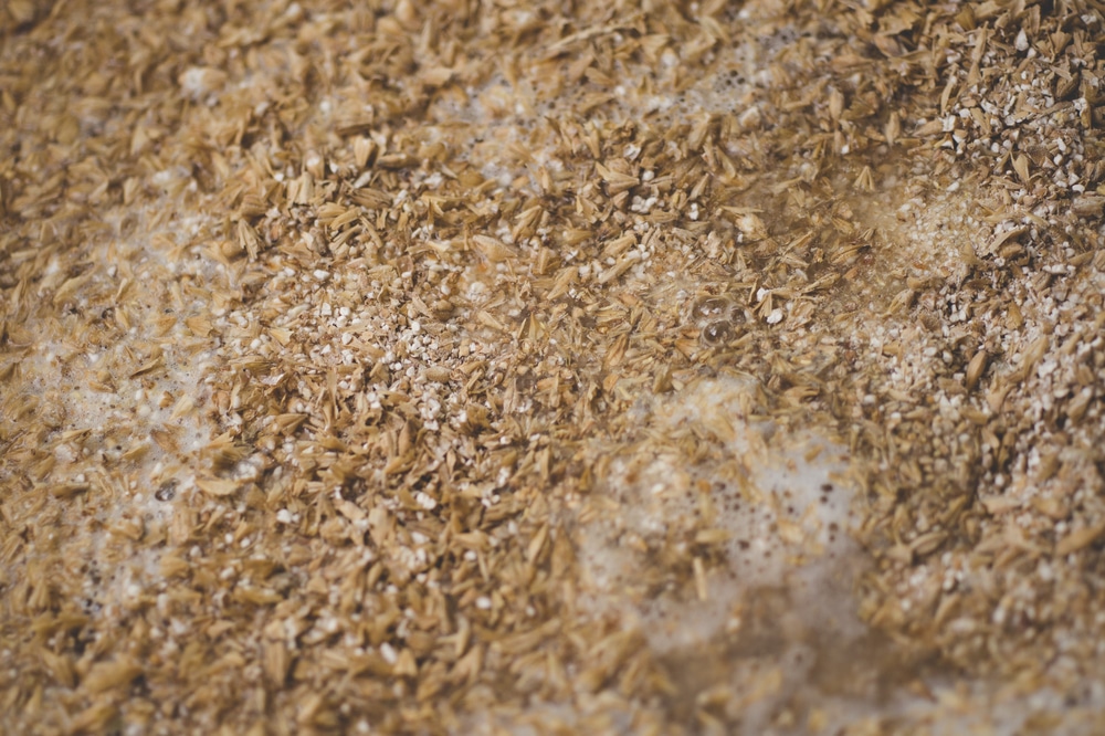 Рецепт пшеничной браги