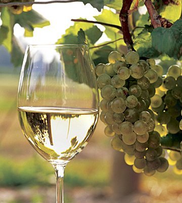 Аллергия на вино: причины, симптомы и методы лечения