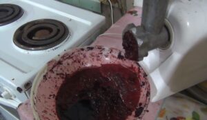 Перекручивание черноплодной рябины на мясорубке