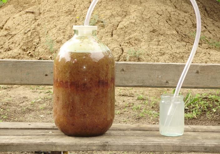 Брожение браги