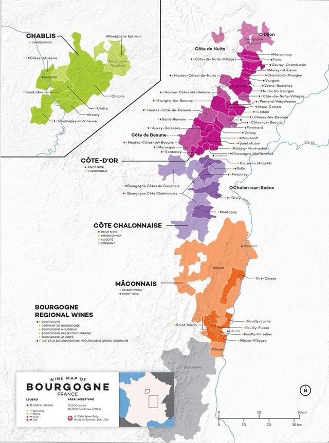 Бургундские вина: особенности, история, классификация, марки