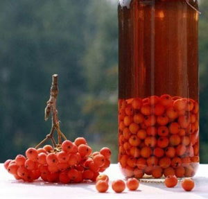 Домашнее вино из калины – рецепт и технология приготовления