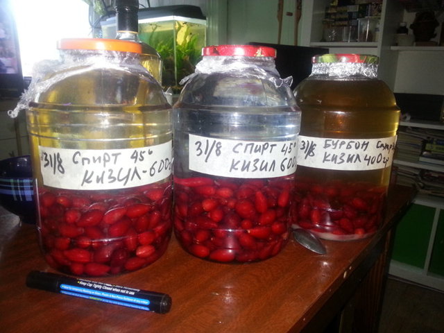Домашнее вино из кизила – рецепт и технология приготовления