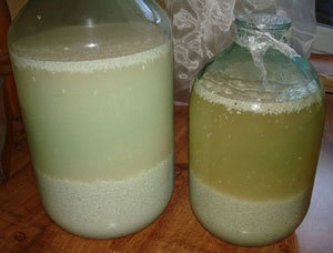 Фильтрация зерновой браги перед перегонкой?