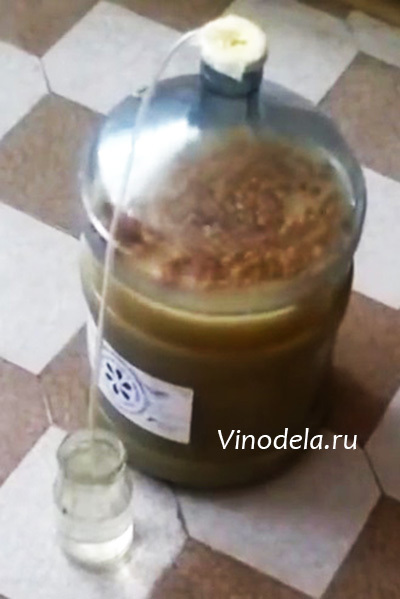 Гидрозатвор для брожения своими руками – 4 лучших конструкции