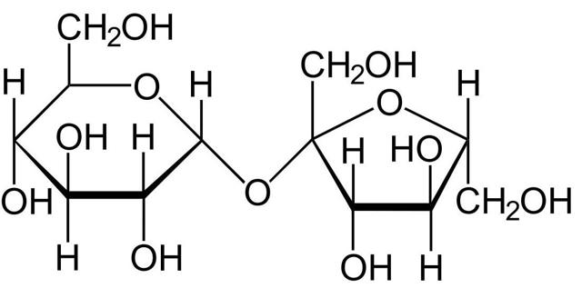 Как правильно вносить сахар в брагу из фруктов