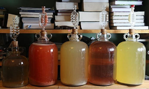 Как правильно вносить сахар в брагу из фруктов