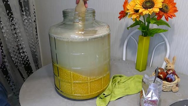 Лучшая емкость для зерновой браги