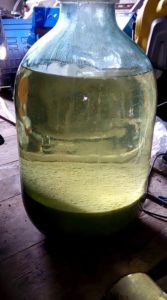 Осветленная брага