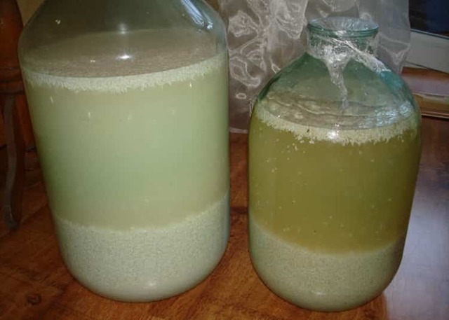 Несладкая брага продолжает булькать (выделять газ): что делать