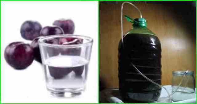 Простой самогон из слив - рецепт браги и перегонка
