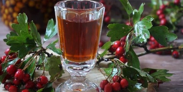 Самогон из боярышника – правильный рецепт браги и перегонка