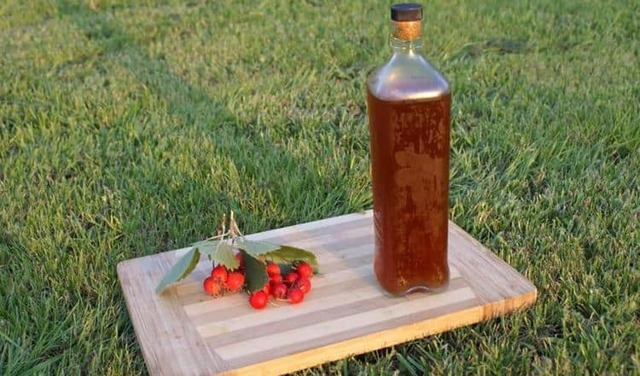 Самогон из боярышника – правильный рецепт браги и перегонка