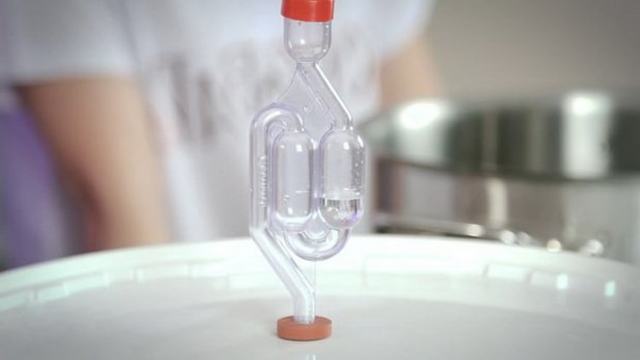 Самогон из помидоров или томатной пасты – рецепт браги