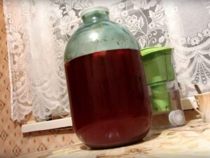 Брага из компота