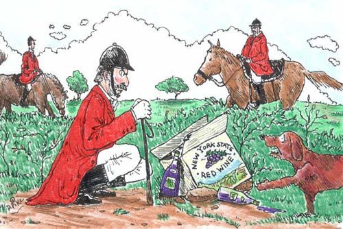 Вина «Нового Света»: список стран и особенности виноделия