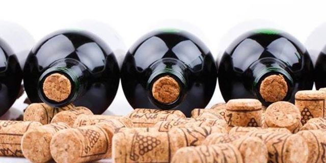 Вина «Нового Света»: список стран и особенности виноделия