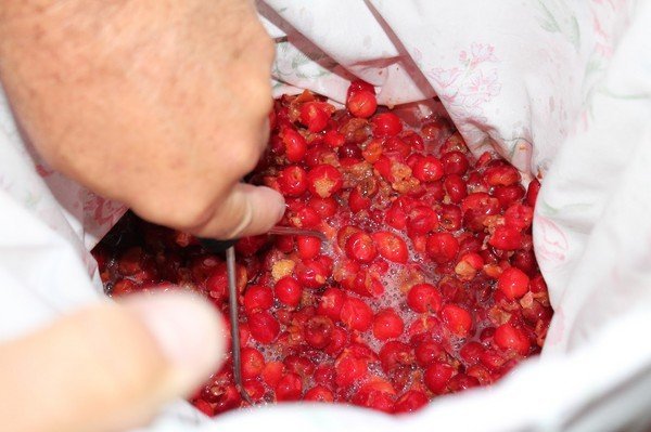 Вино из вишни с косточками в домашних условиях: простой рецепт