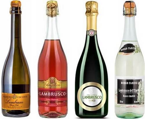 Вино Ламбруско (lambrusco) – итальянский аналог шампанского