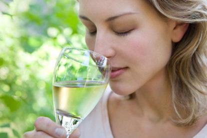 Вино Ркацители: описание, культура пития, известные марки