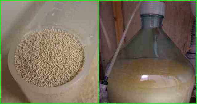 Вода для браги – нюансы качества и температуры