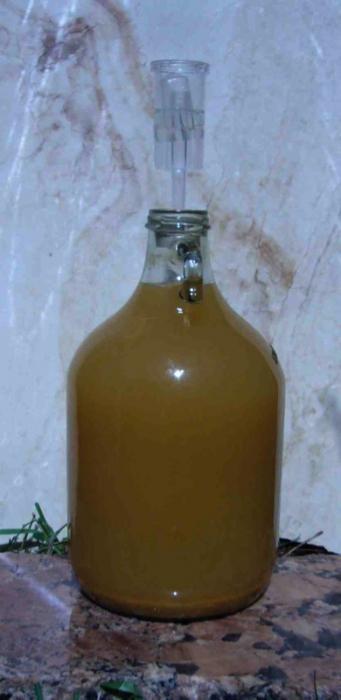 Зачем вину нужен гидрозатвор